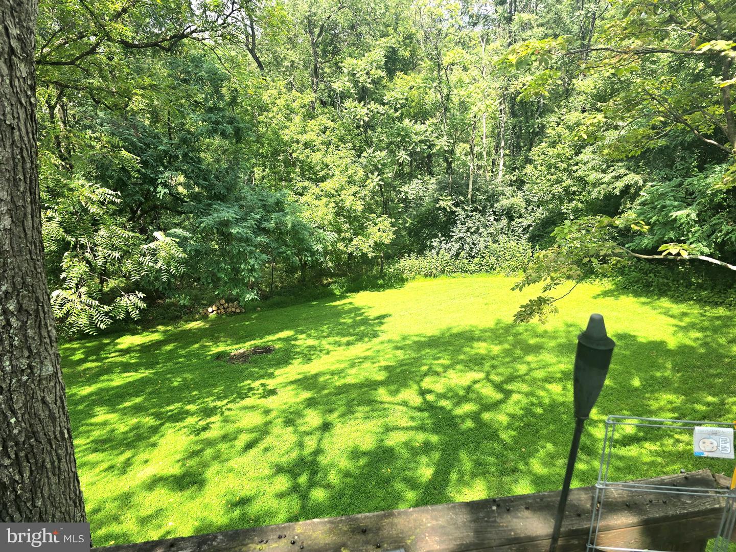 186 Apple Orchard Dr Property Photo 51