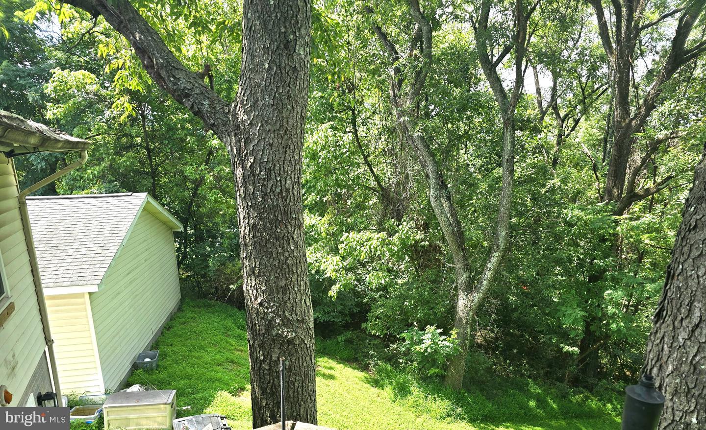 186 Apple Orchard Dr Property Photo 52