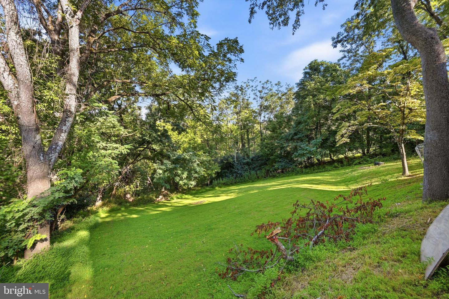 186 Apple Orchard Dr Property Photo 61