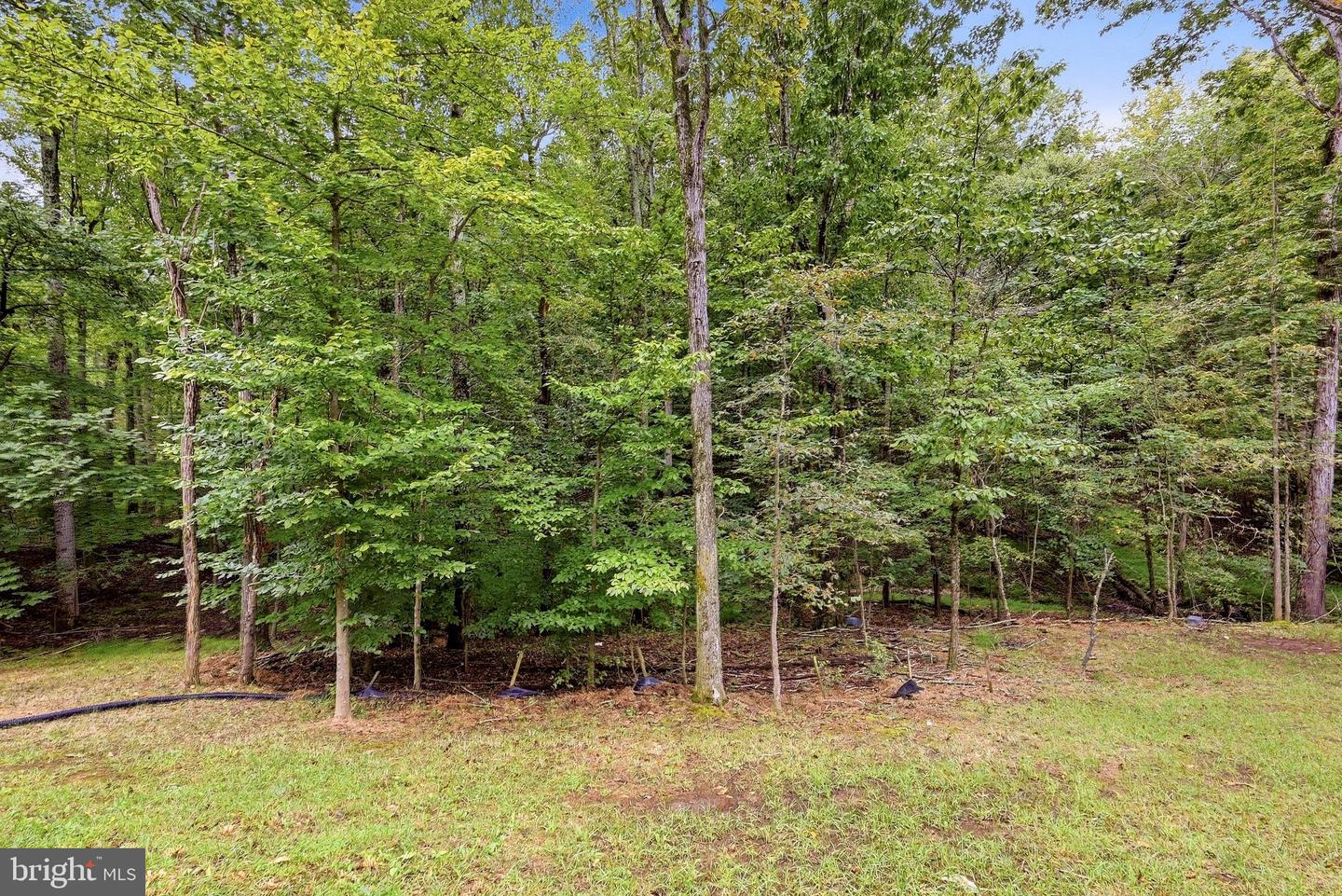 430 Vaught Dr Property Photo 30