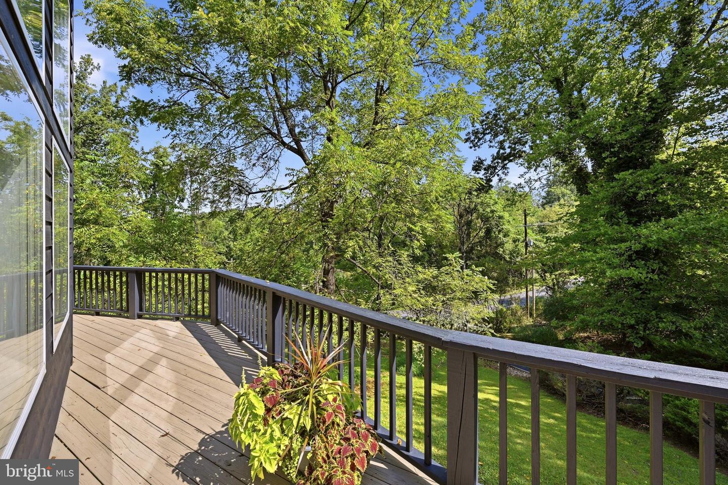 92 High Knob Rd Property Photo 6