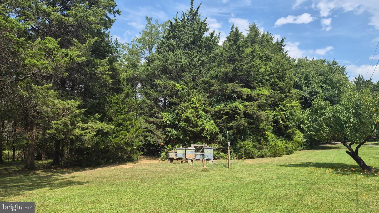 VAWR2015484 Property Photo 16