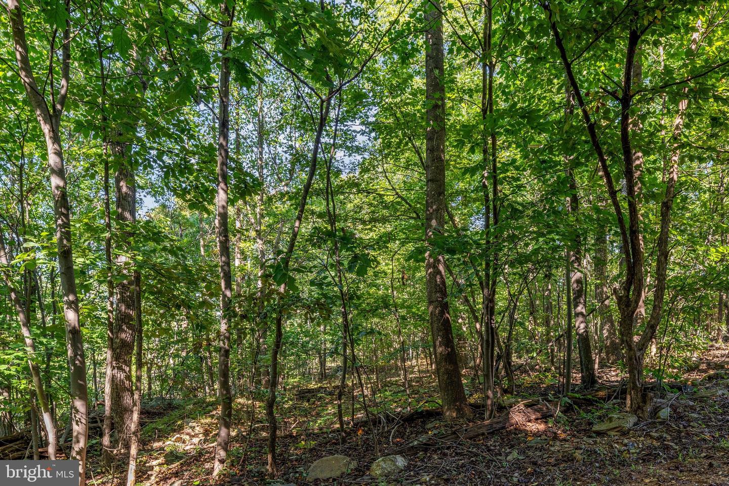 101 Blue Valley Rd Property Photo 39