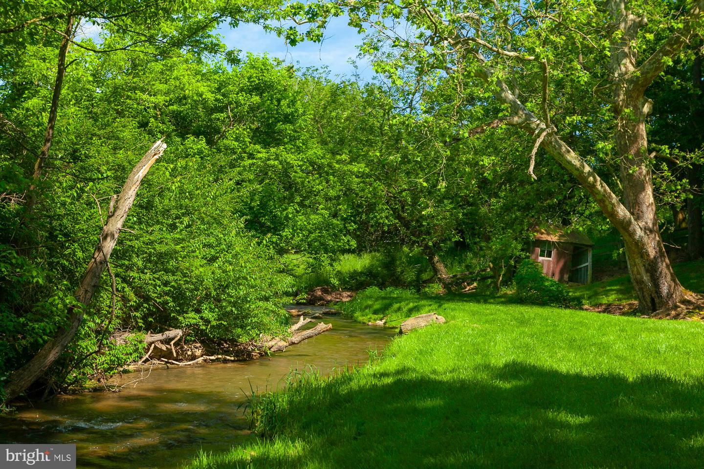 123 Old Mill Rd Property Photo 85
