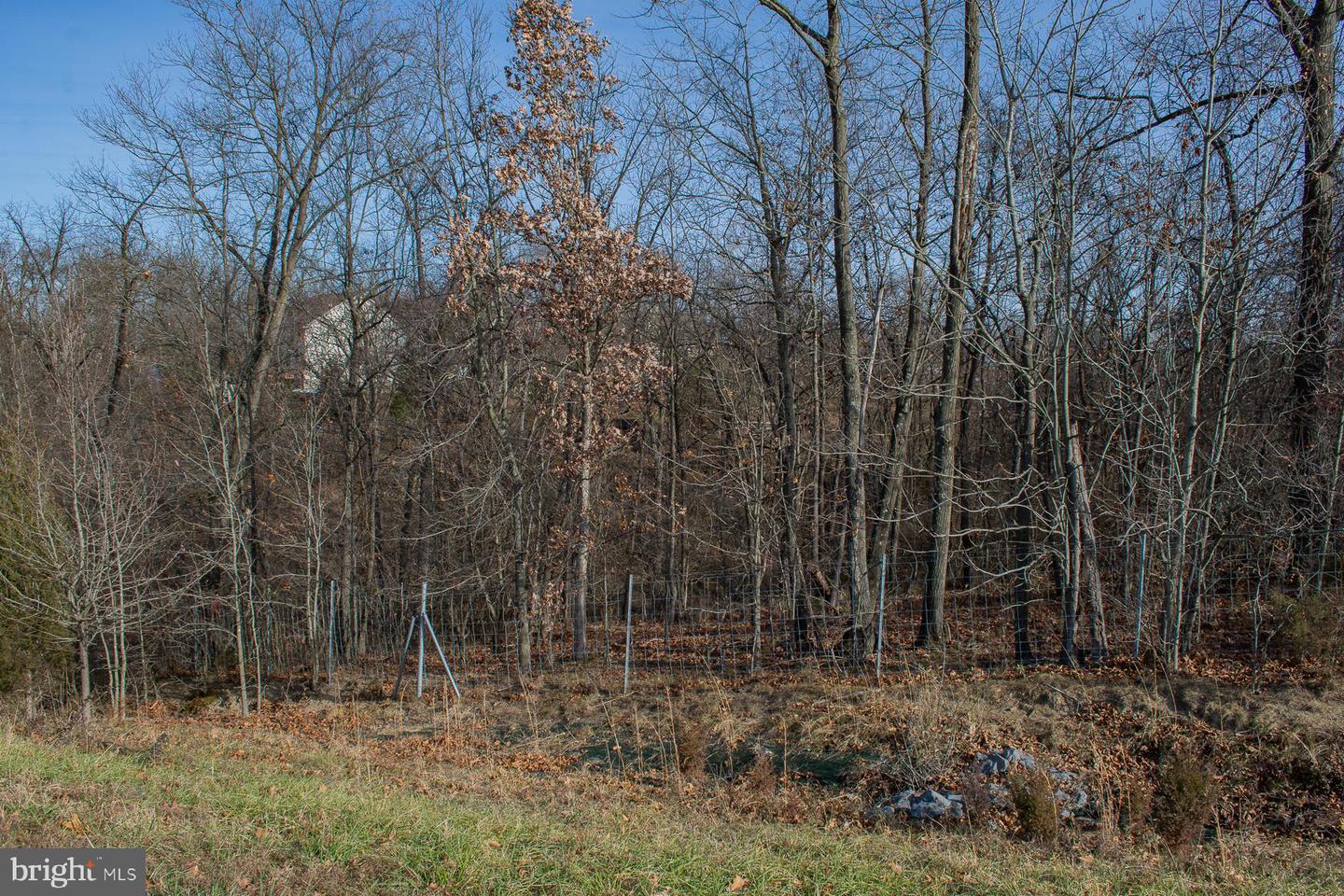 Remainder T.m Opequon Connector Property Photo 19