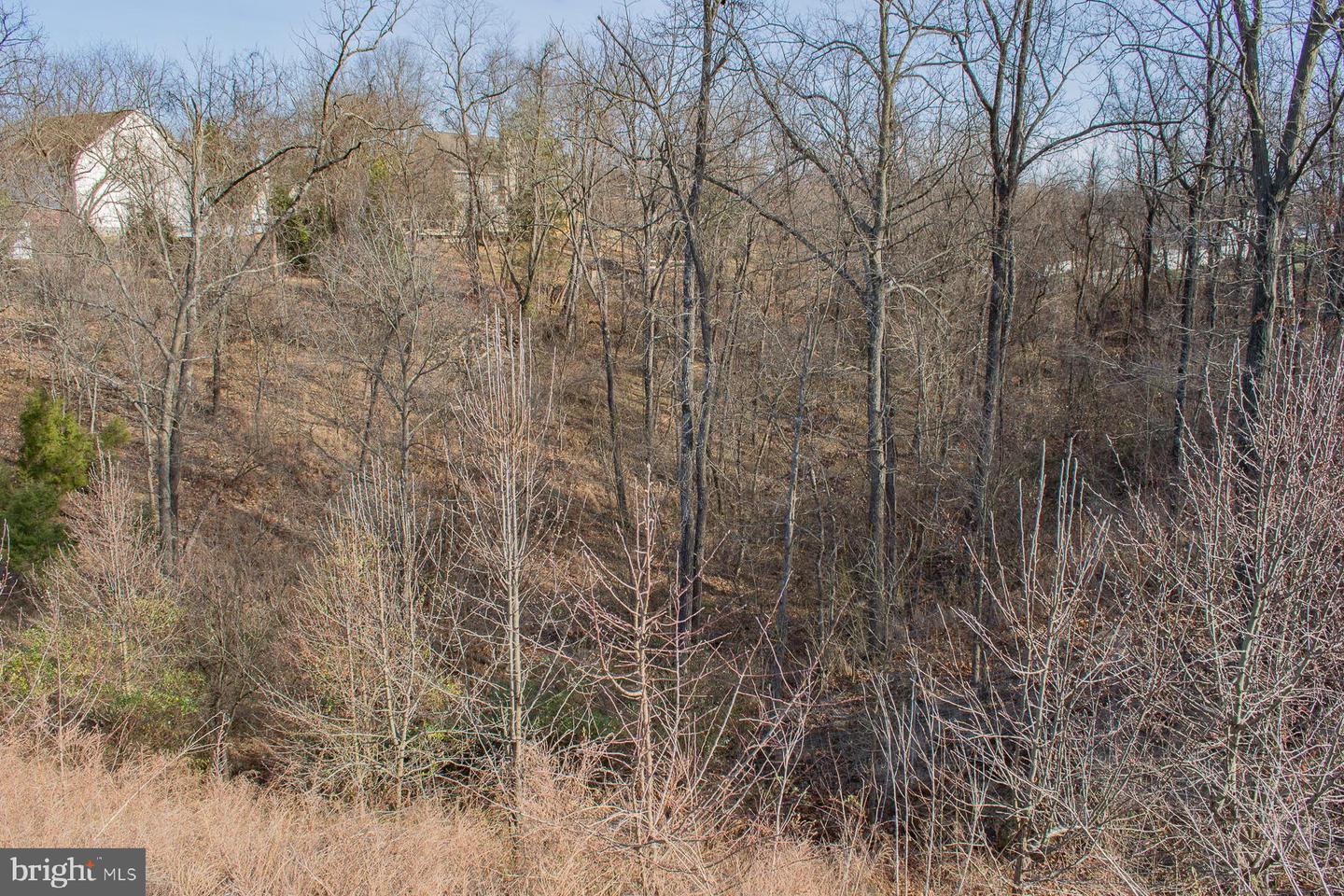 Remainder T.m Opequon Connector Property Photo 23