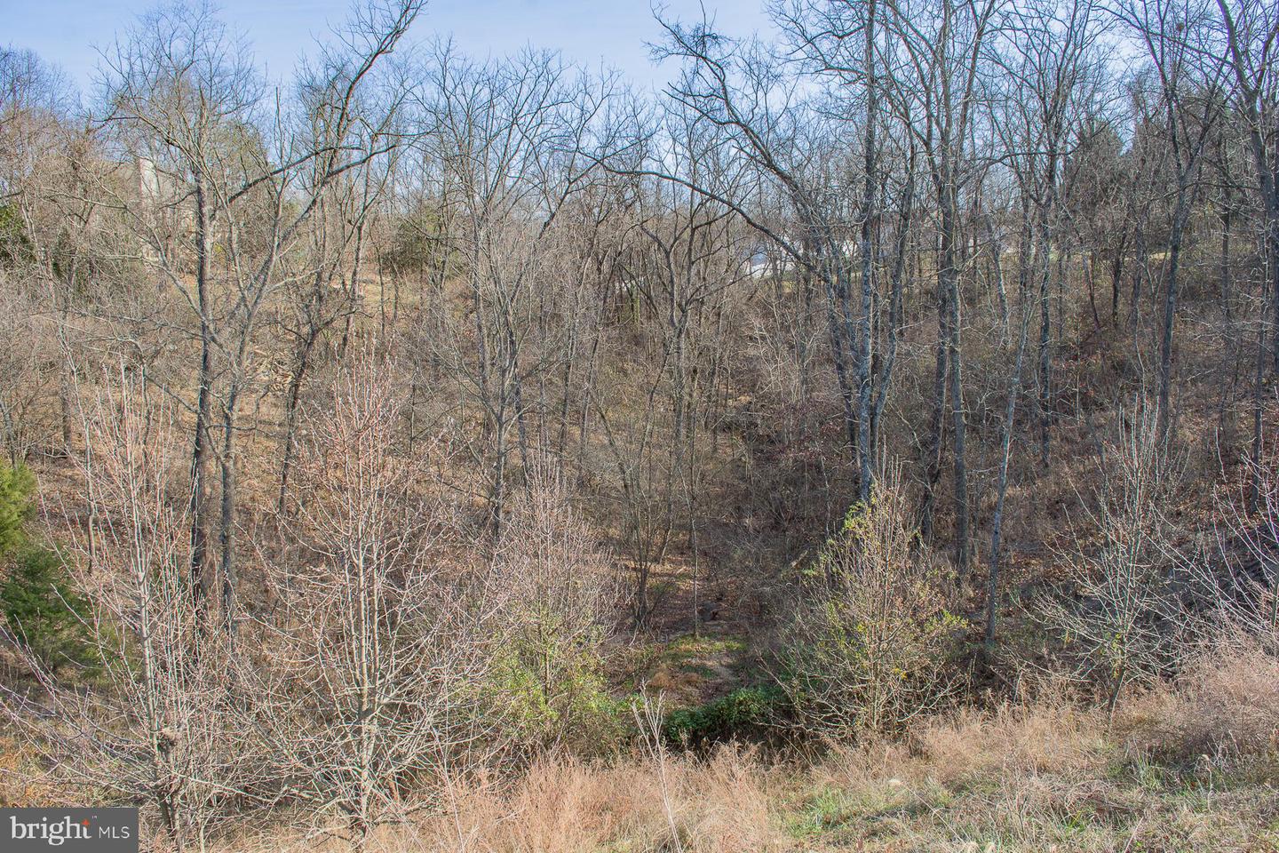Remainder T.m Opequon Connector Property Photo 24