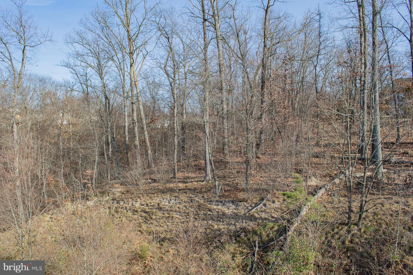 Remainder T.m Opequon Connector Property Photo 27