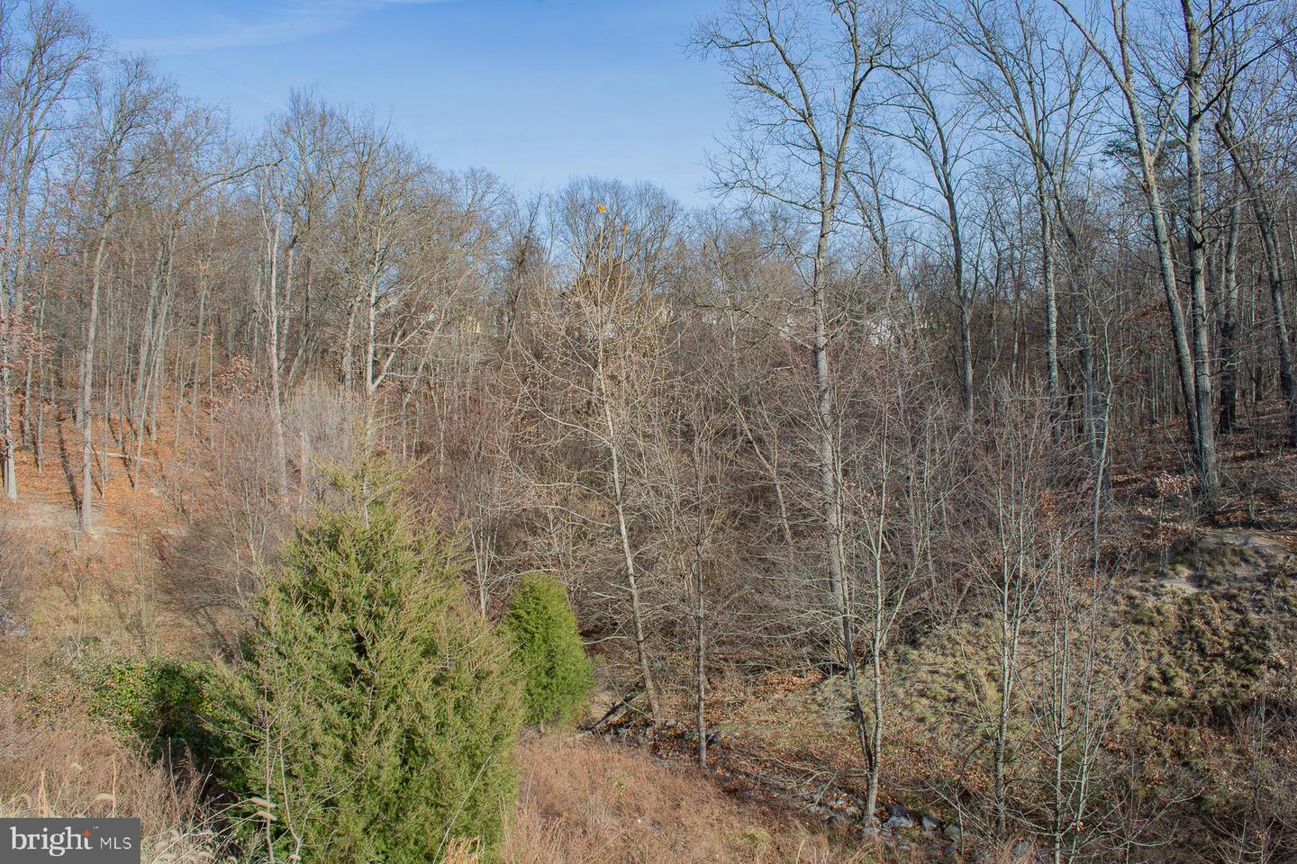 Remainder T.m Opequon Connector Property Photo 29