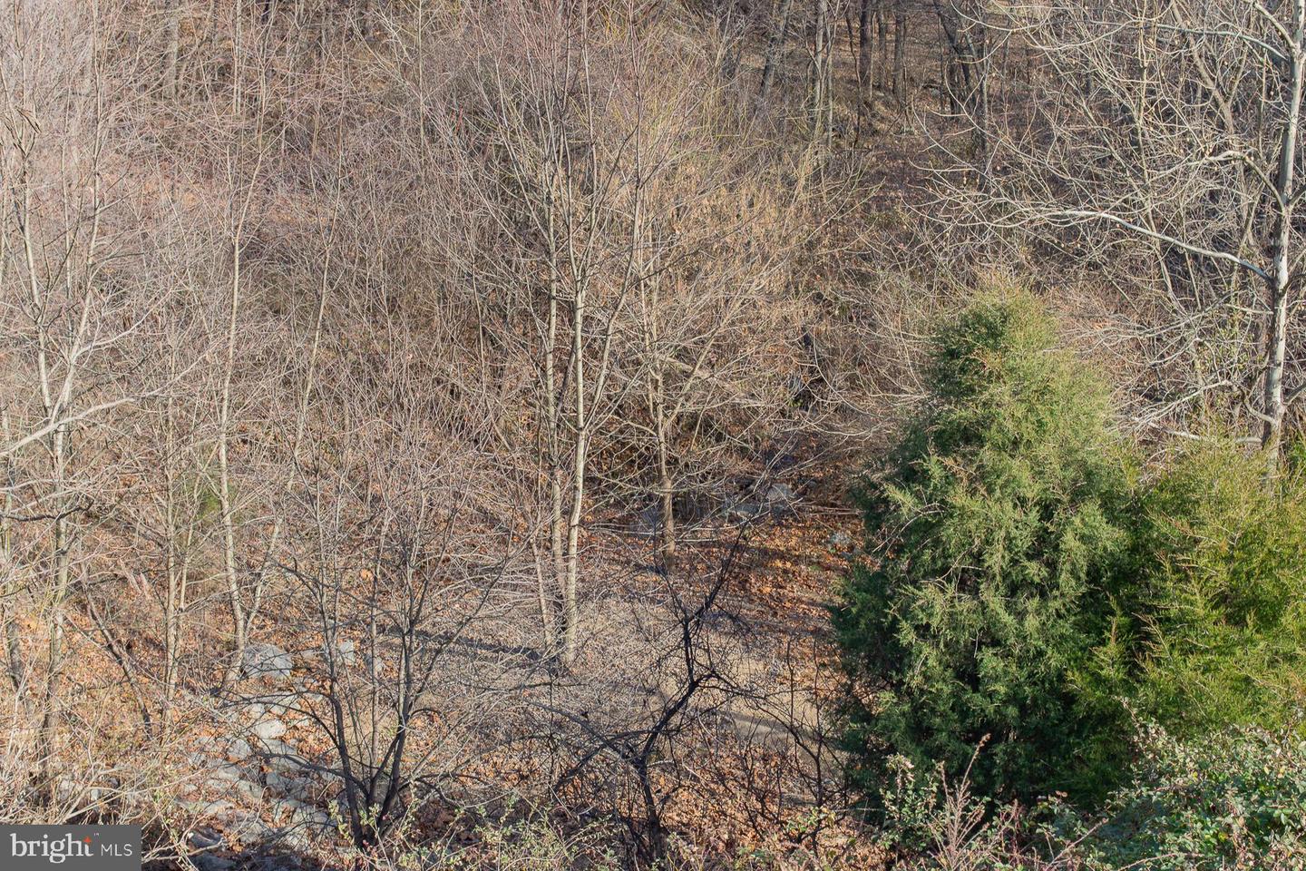 Remainder T.m Opequon Connector Property Photo 30