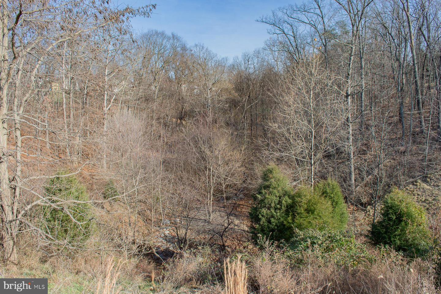 Remainder T.m Opequon Connector Property Photo 31