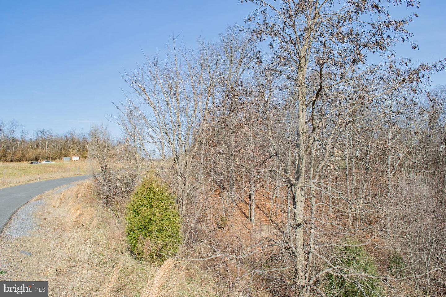 Remainder T.m Opequon Connector Property Photo 32