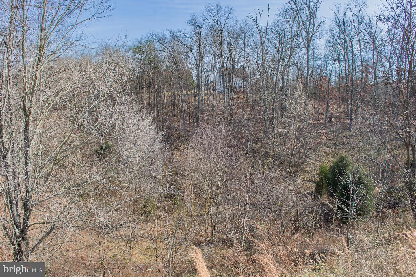 Remainder T.m Opequon Connector Property Photo 36