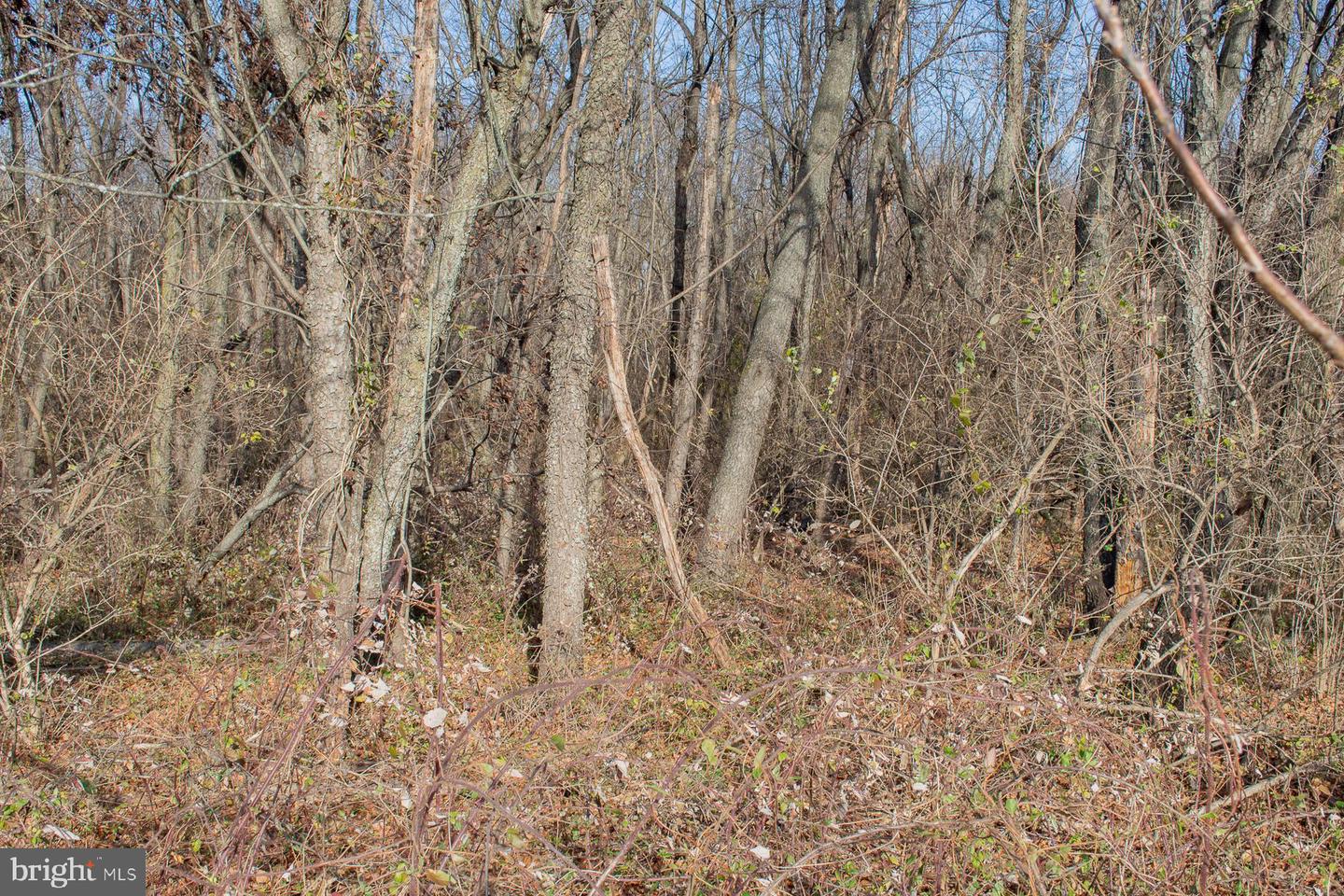 Remainder T.m Opequon Connector Property Photo 45