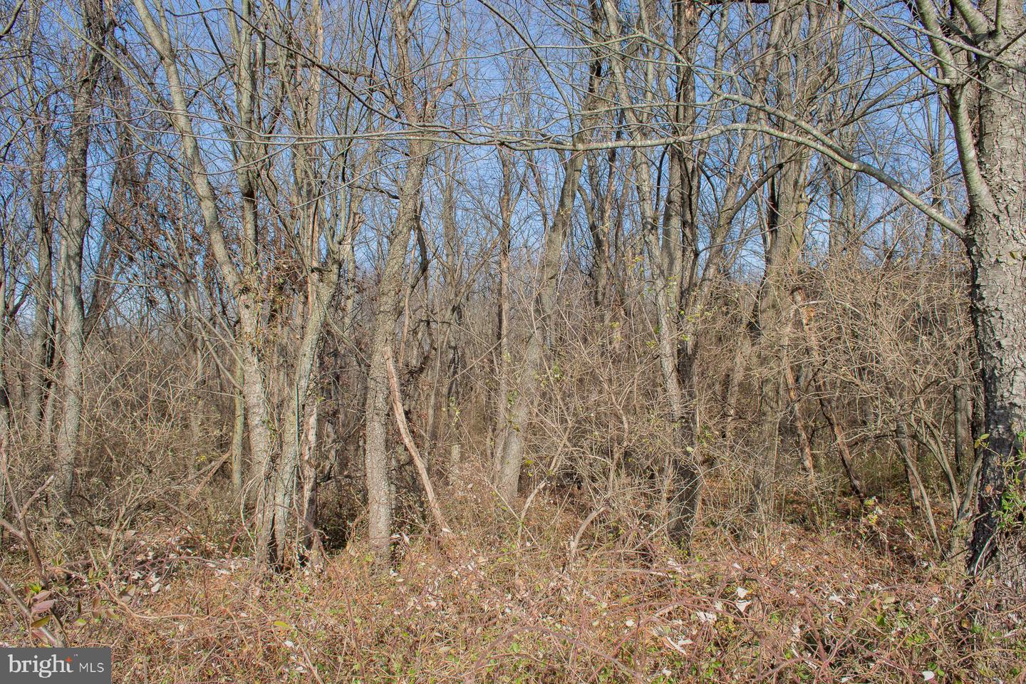 Remainder T.m Opequon Connector Property Photo 46