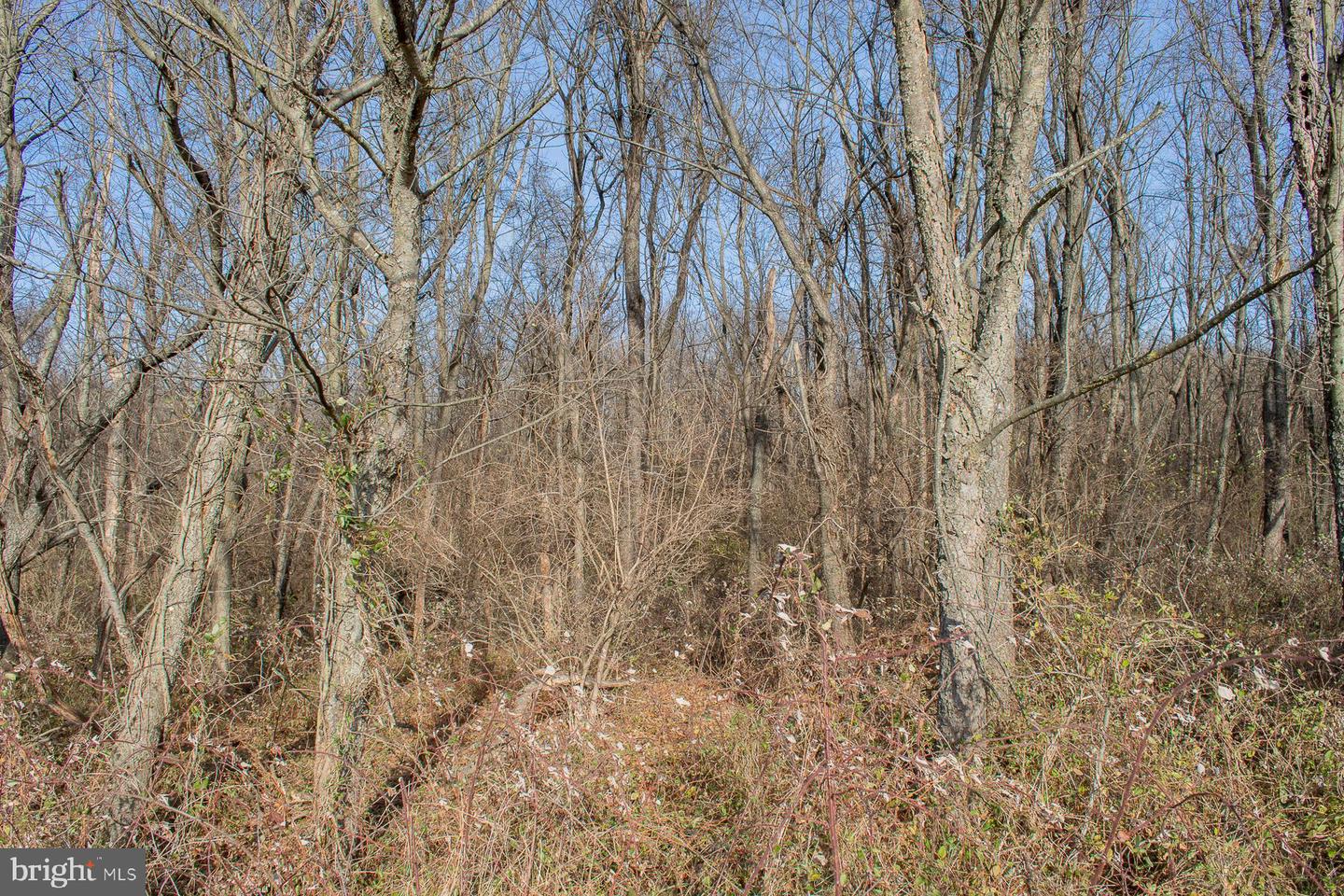 Remainder T.m Opequon Connector Property Photo 47