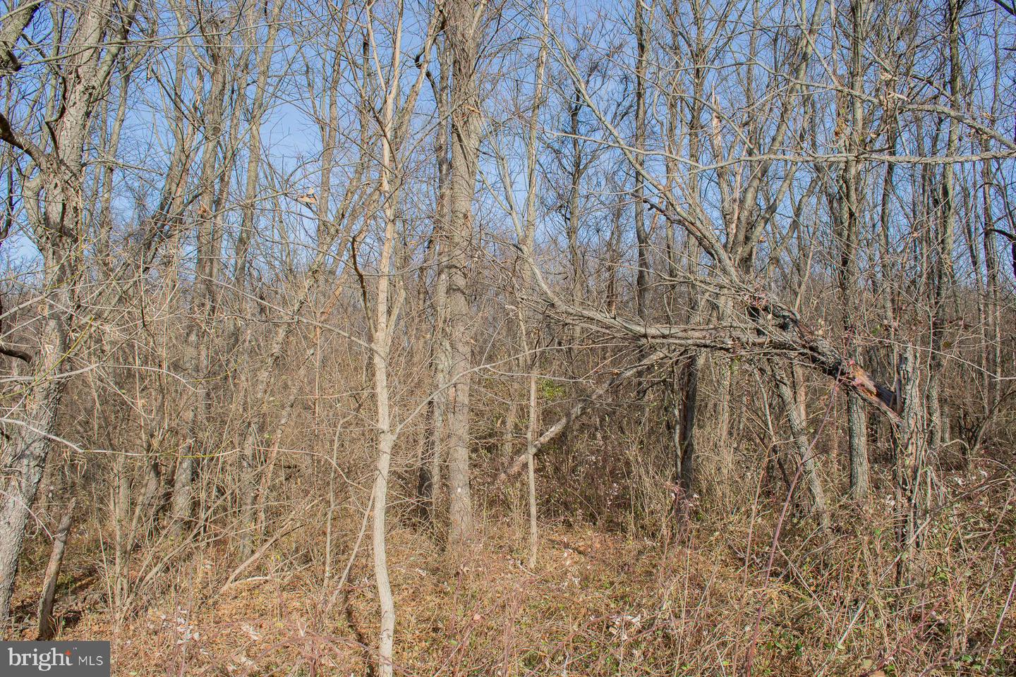 Remainder T.m Opequon Connector Property Photo 48