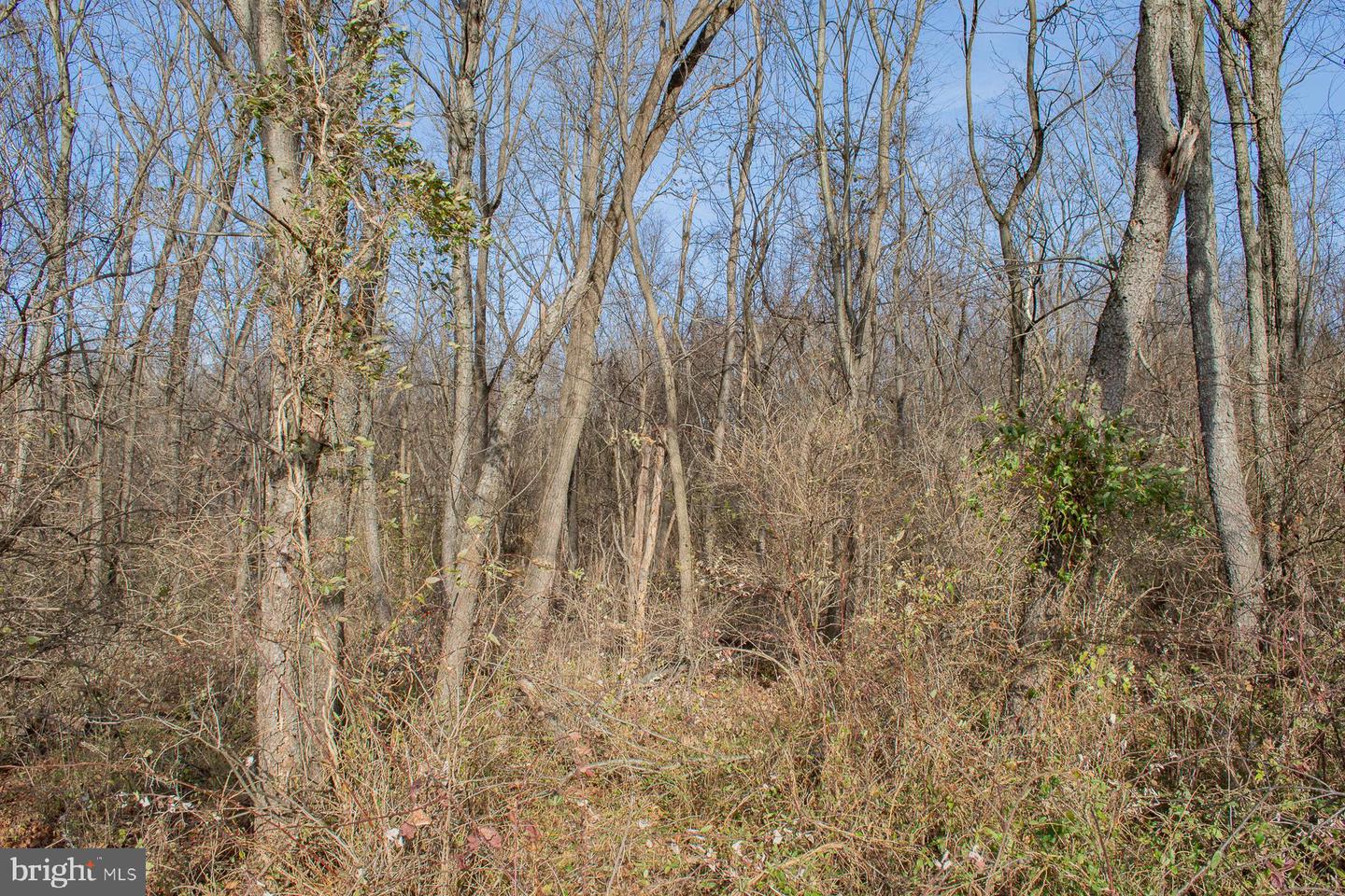 Remainder T.m Opequon Connector Property Photo 49