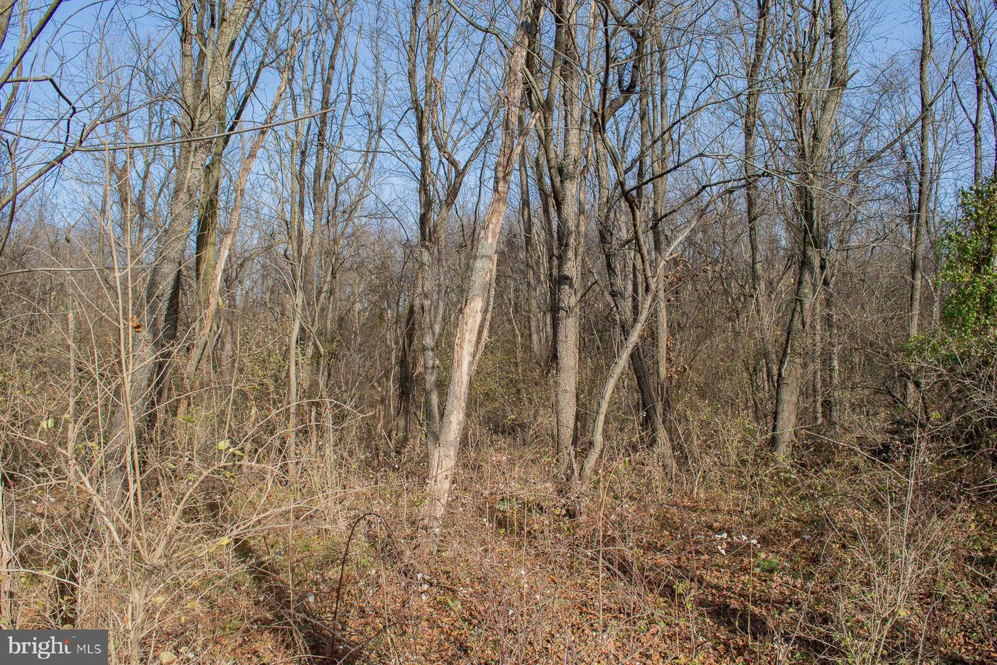 Remainder T.m Opequon Connector Property Photo 51