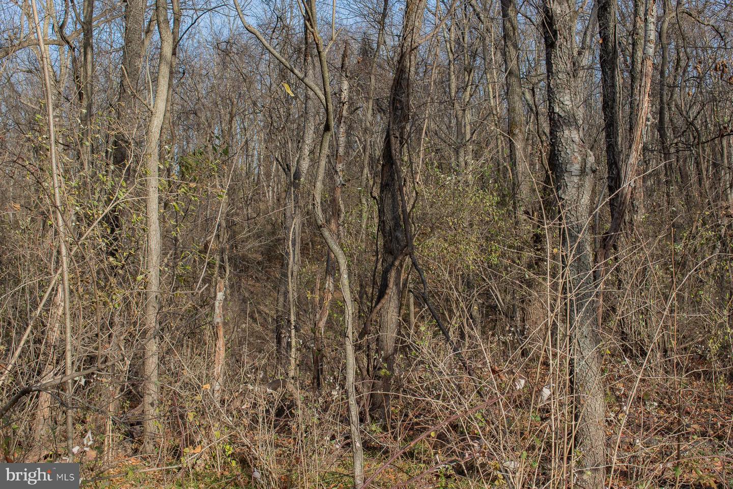 Remainder T.m Opequon Connector Property Photo 52