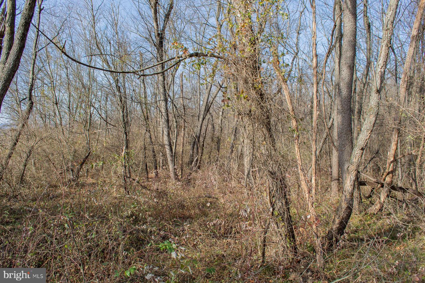 Remainder T.m Opequon Connector Property Photo 53