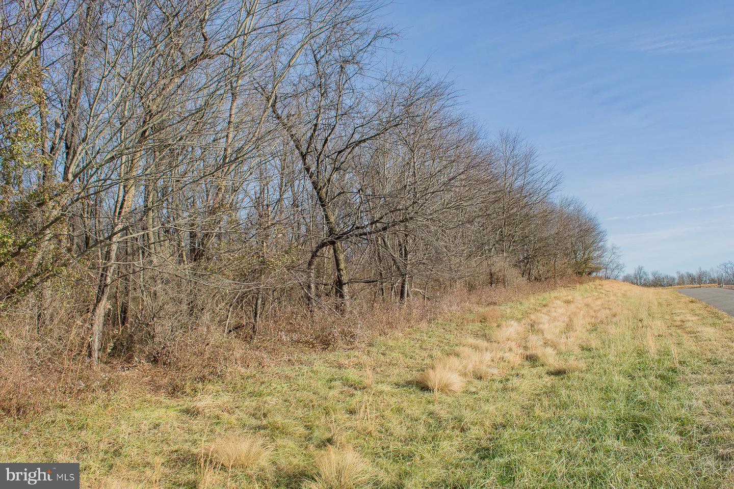 Remainder T.m Opequon Connector Property Photo 55