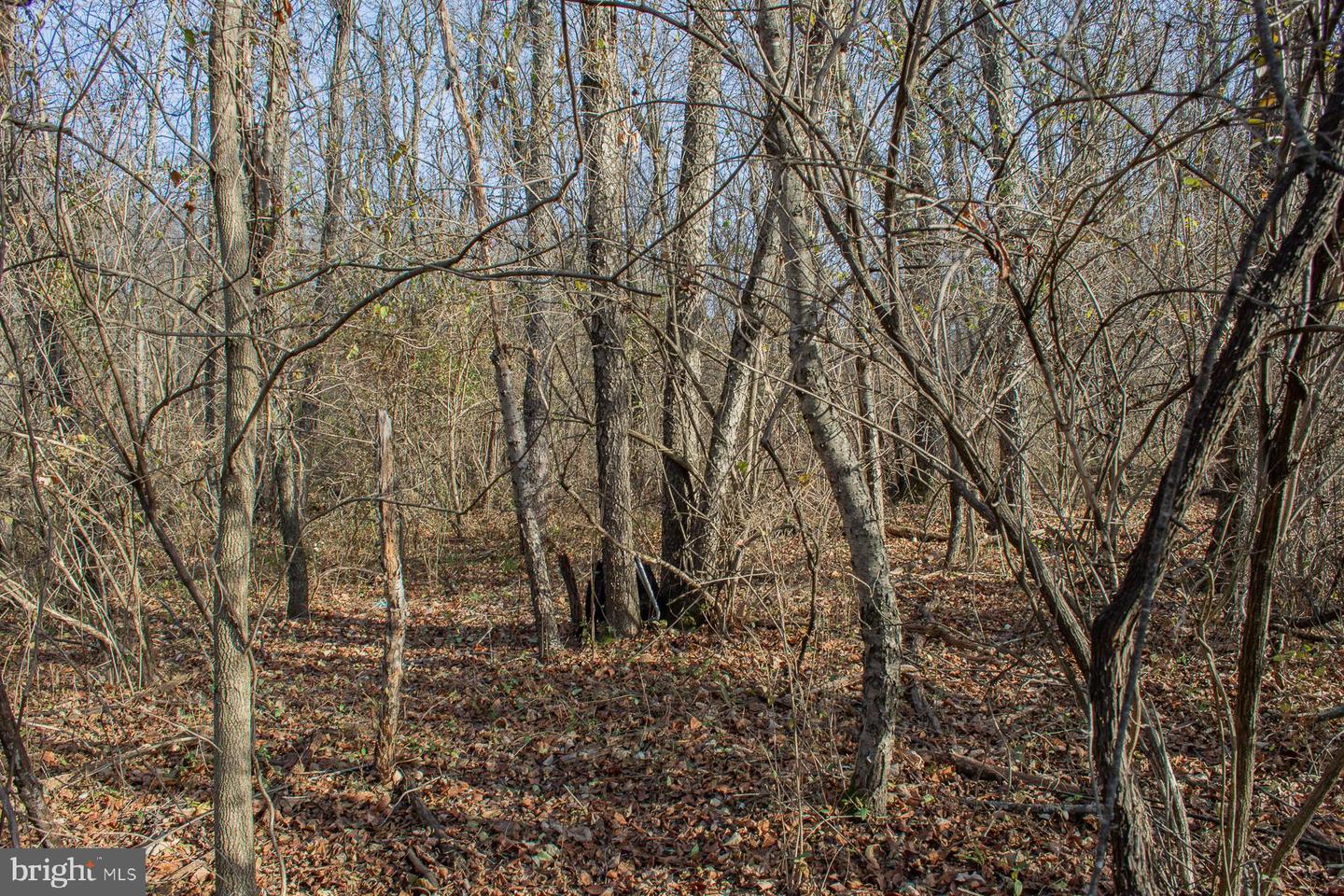 Remainder T.m Opequon Connector Property Photo 57