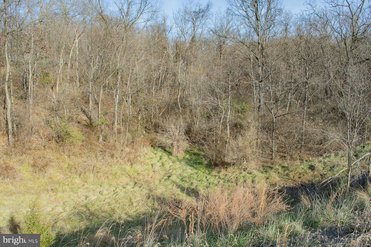 Remainder T.m Opequon Connector Property Photo 60