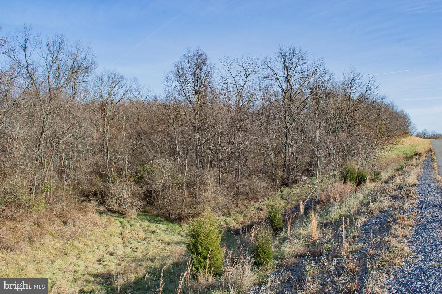 Remainder T.m Opequon Connector Property Photo 62