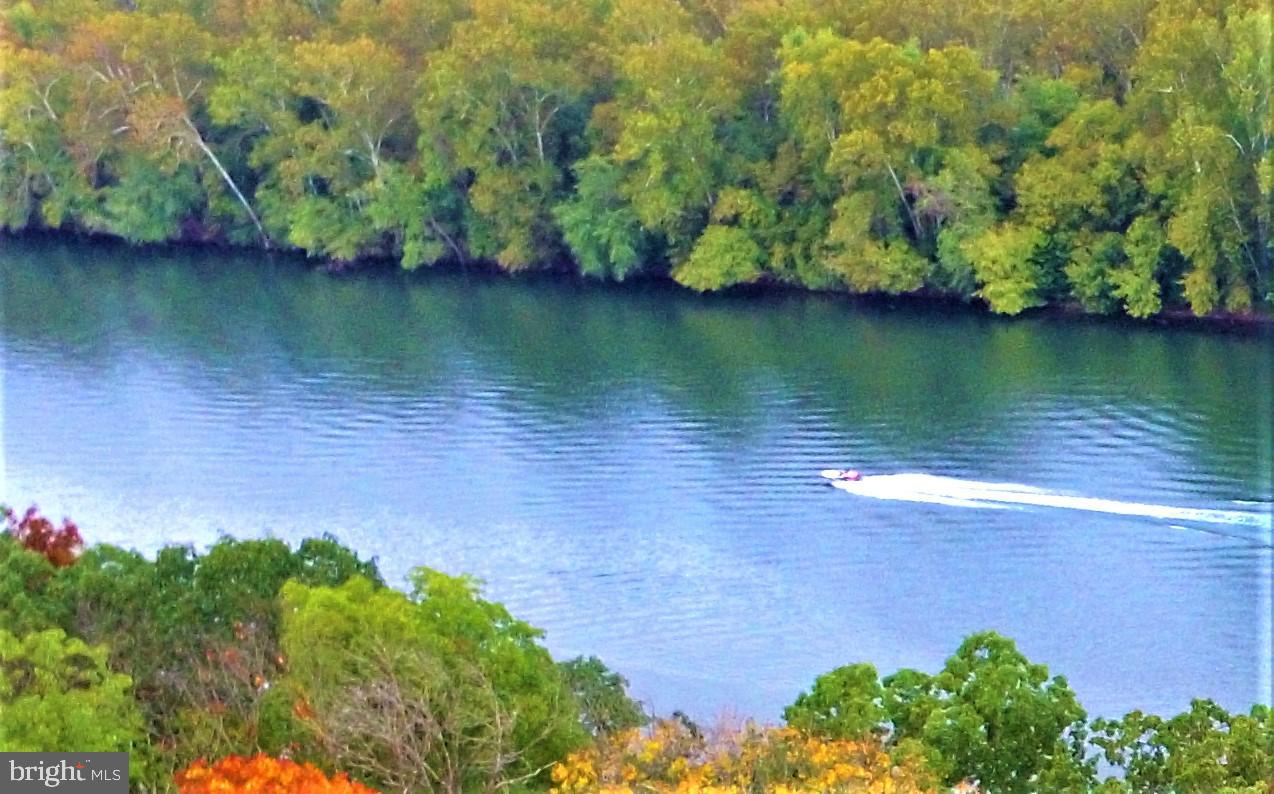 Lot #20 Shepherds Cove Swift River Way Property Photo 1