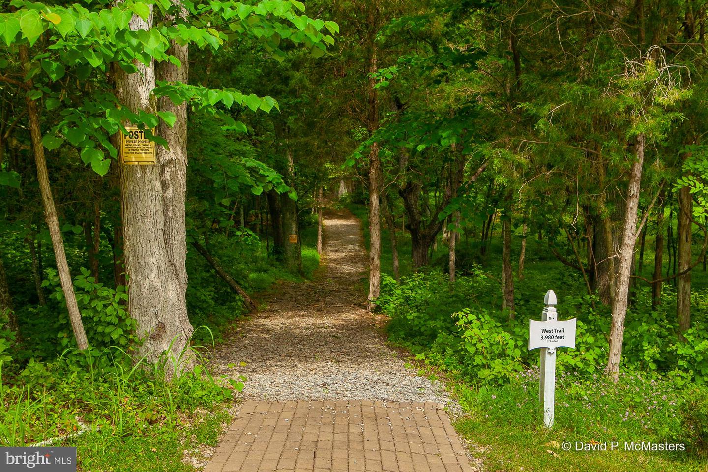 Lot #20 Shepherds Cove Swift River Way Property Photo 9