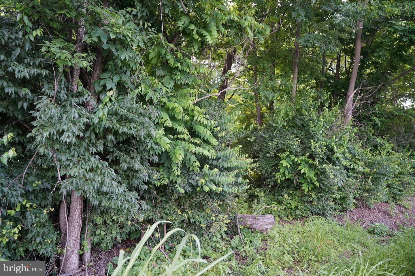 Harold Dr Property Photo 4