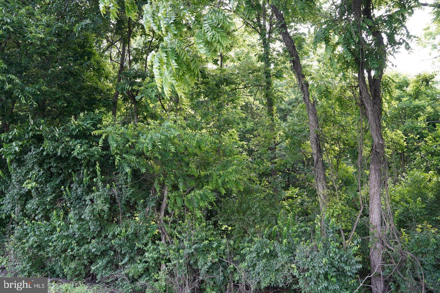 Harold Dr Property Photo 6
