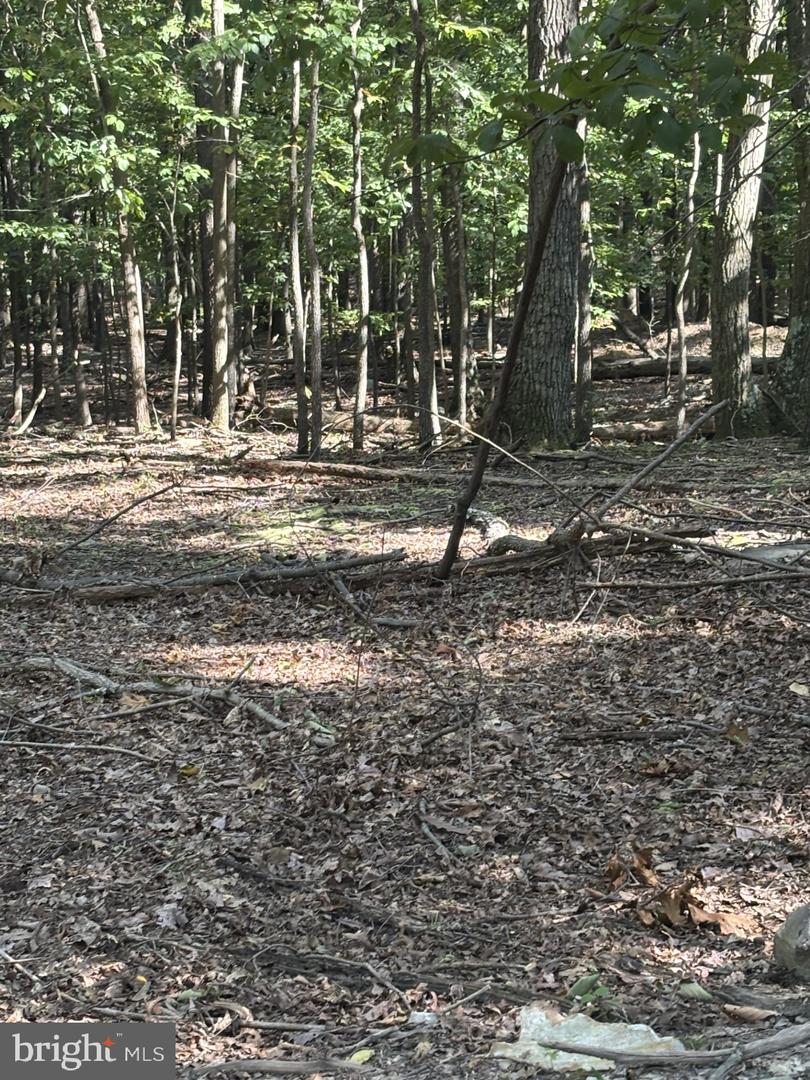 Terrain Drive Property Photo 1