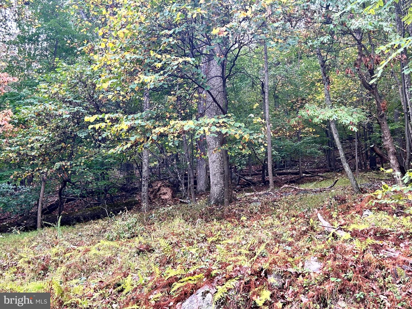 Lot 16 Dewdrop Lane Property Photo 1