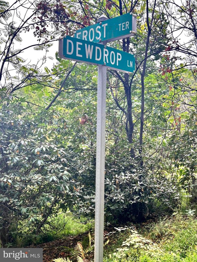 Lot 16 Dewdrop Lane Property Photo 2