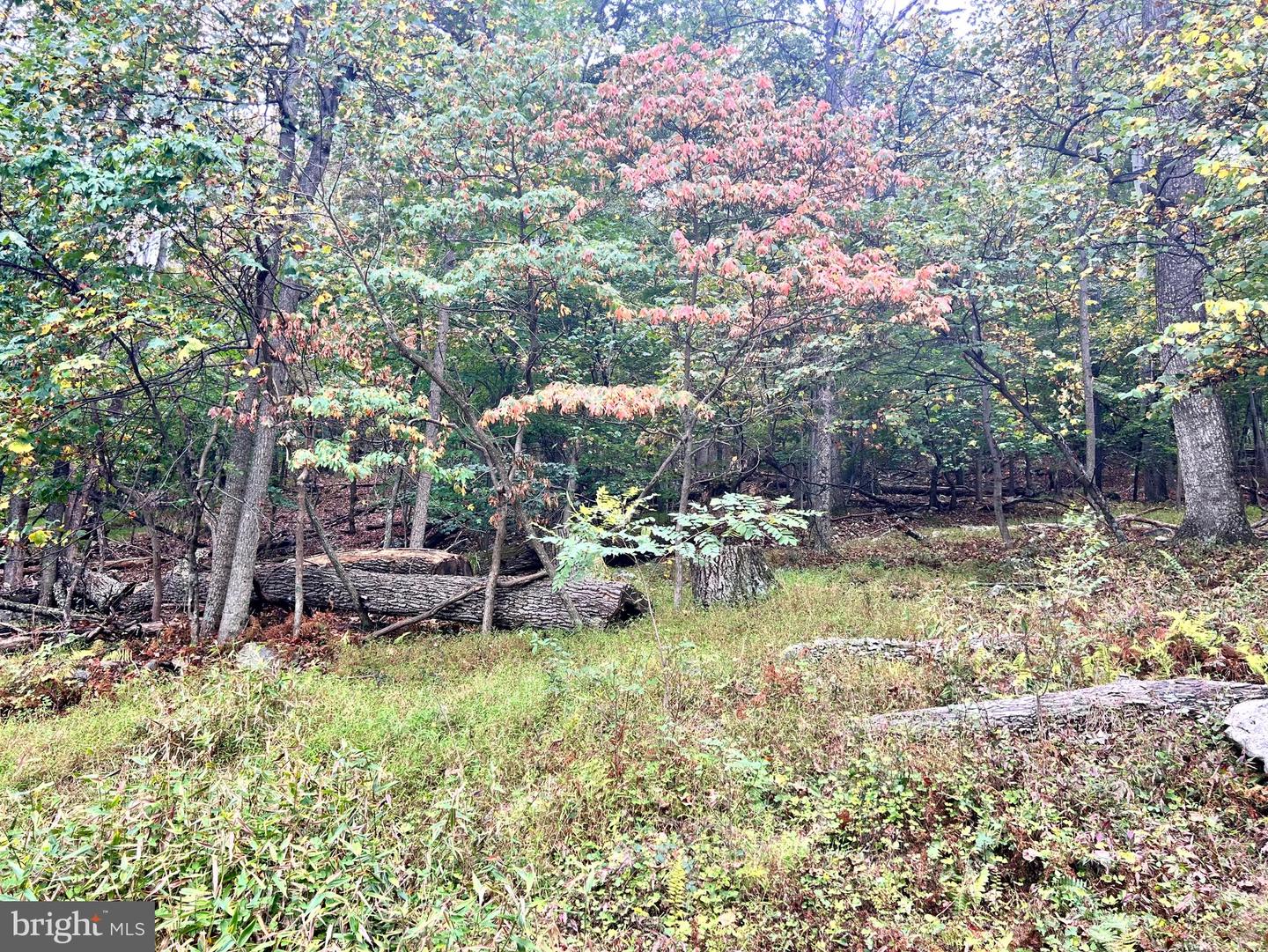 Lot 16 Dewdrop Lane Property Photo 3
