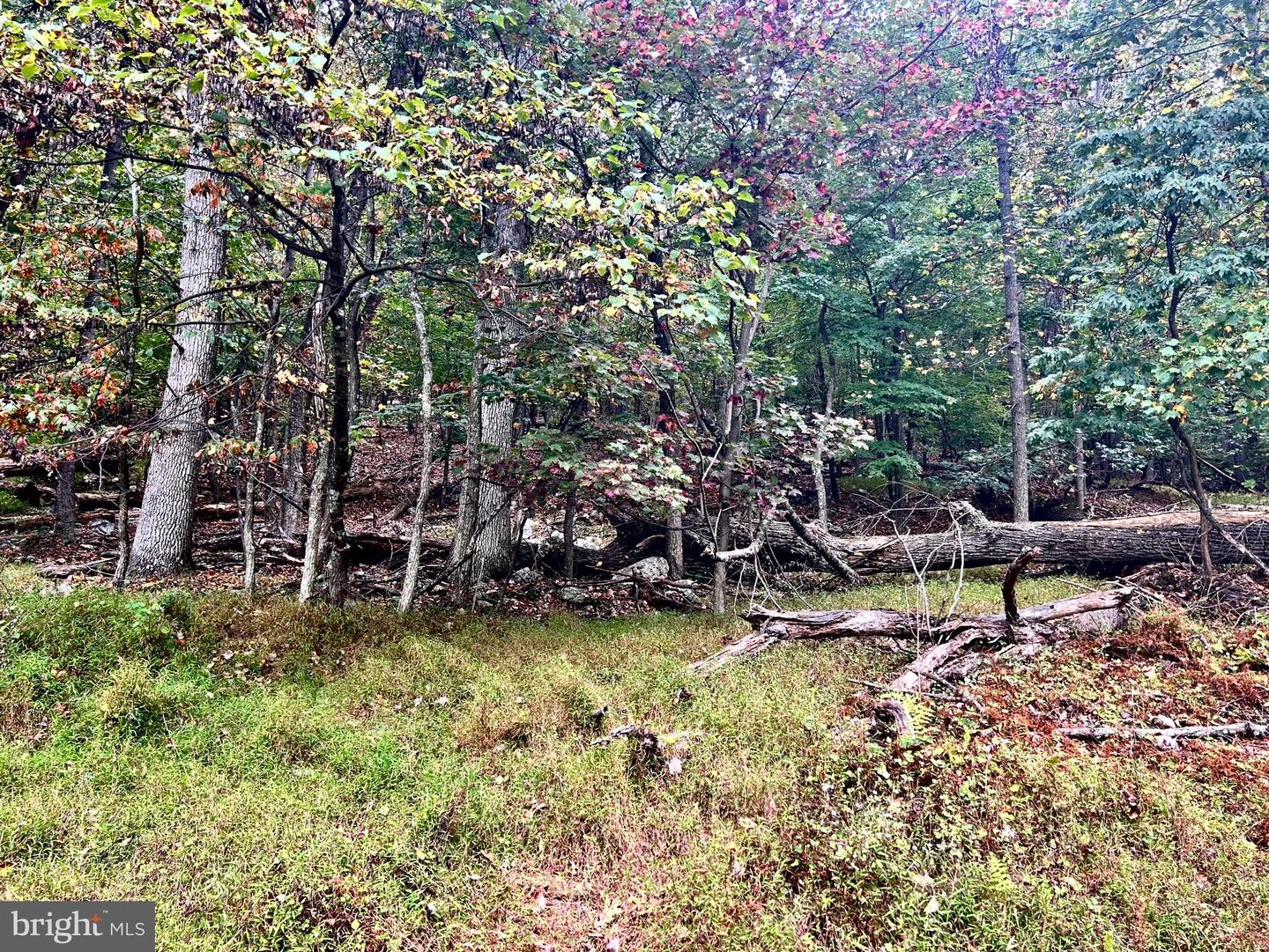Lot 16 Dewdrop Lane Property Photo 4
