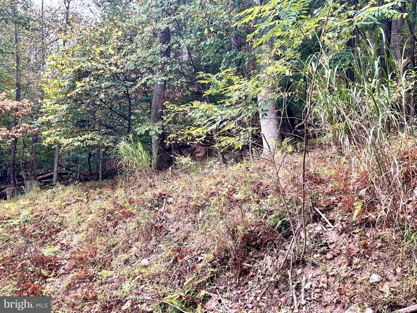 Lot 16 Dewdrop Lane Property Photo 5