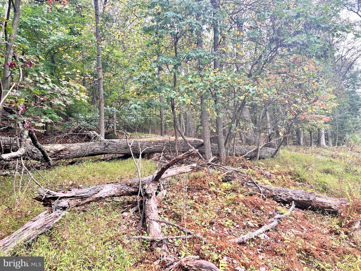 Lot 16 Dewdrop Lane Property Photo 6
