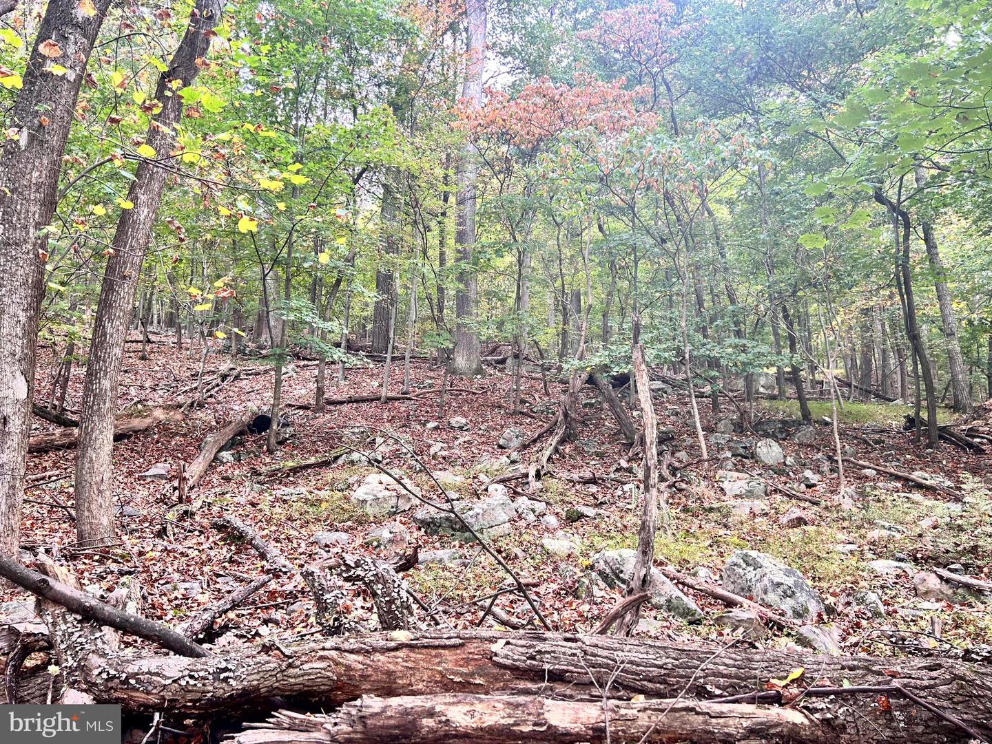 Lot 16 Dewdrop Lane Property Photo 7