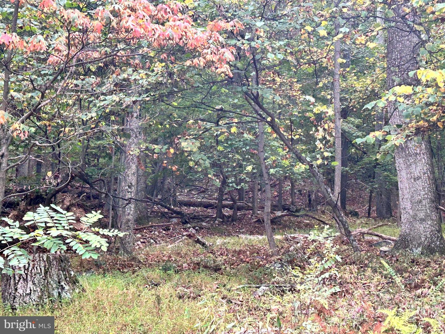 Lot 16 Dewdrop Lane Property Photo 8