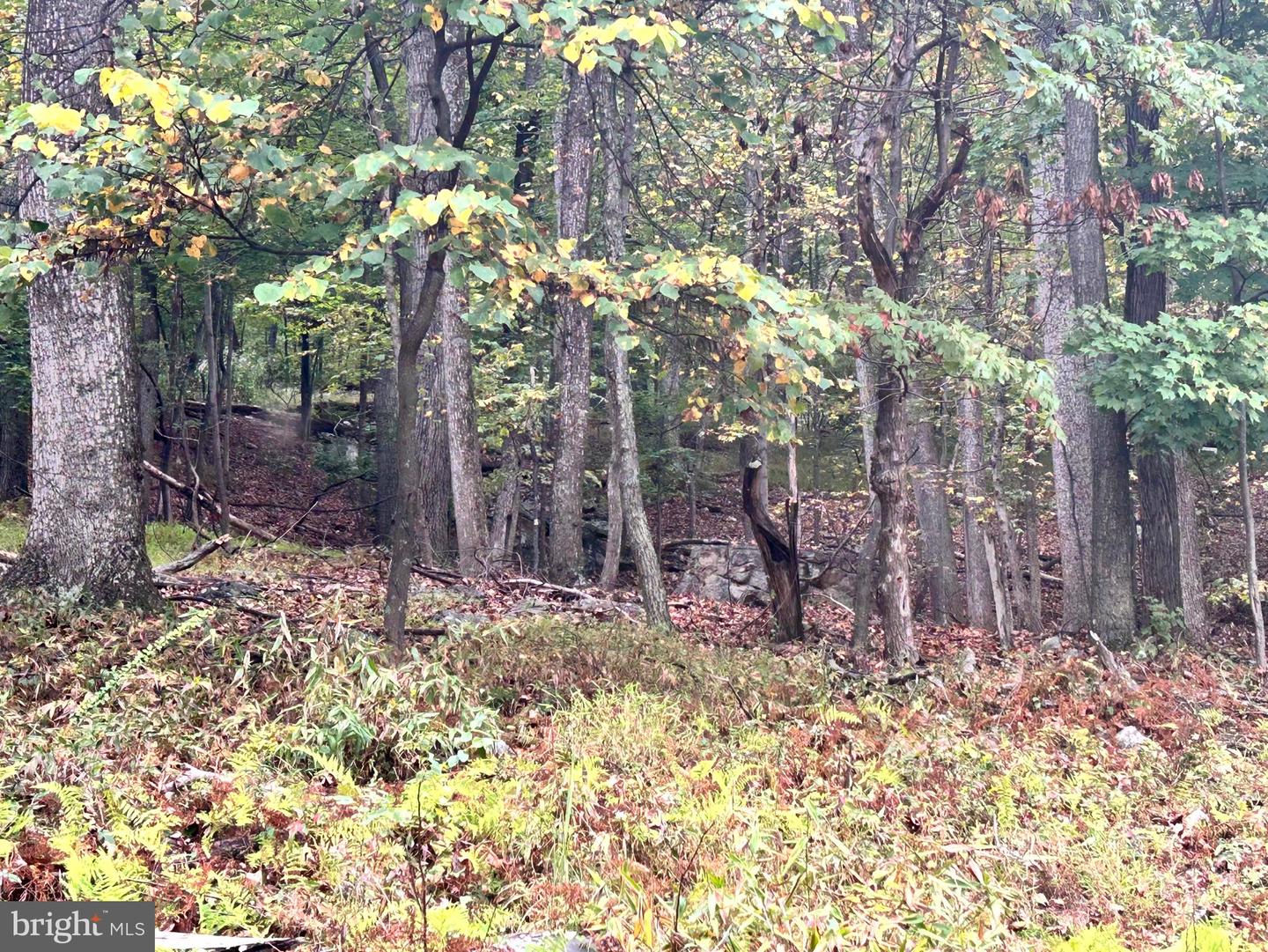 Lot 16 Dewdrop Lane Property Photo 9