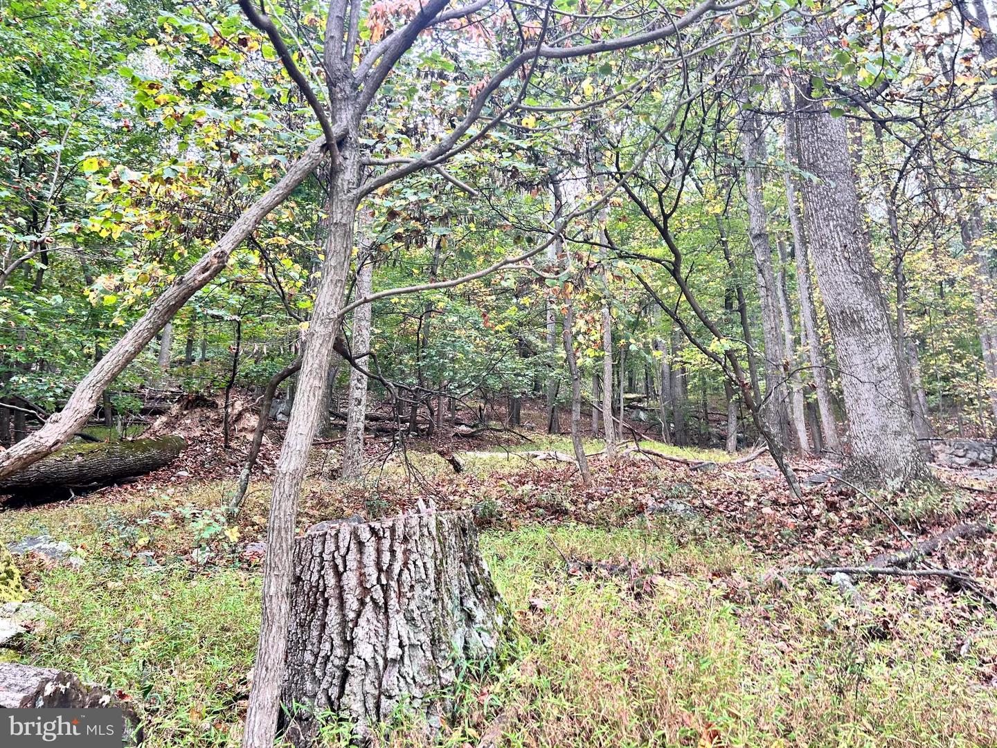 Lot 16 Dewdrop Lane Property Photo 10