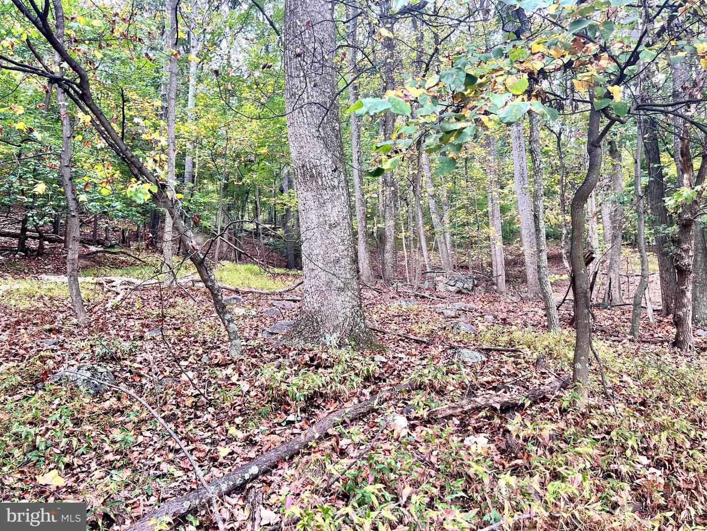 Lot 16 Dewdrop Lane Property Photo 11