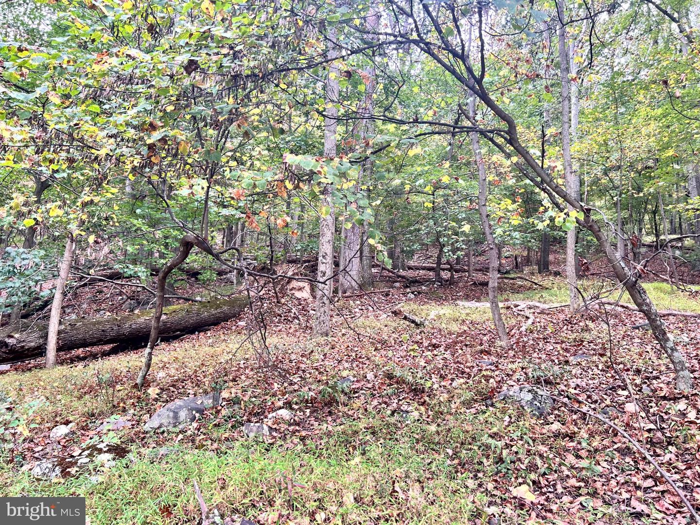 Lot 16 Dewdrop Lane Property Photo 12