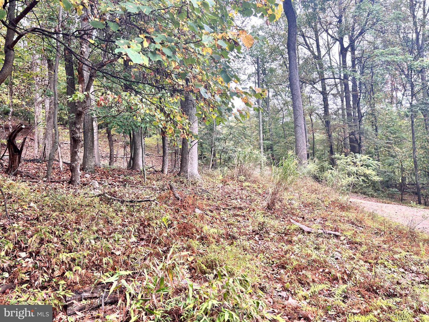 Lot 16 Dewdrop Lane Property Photo 13