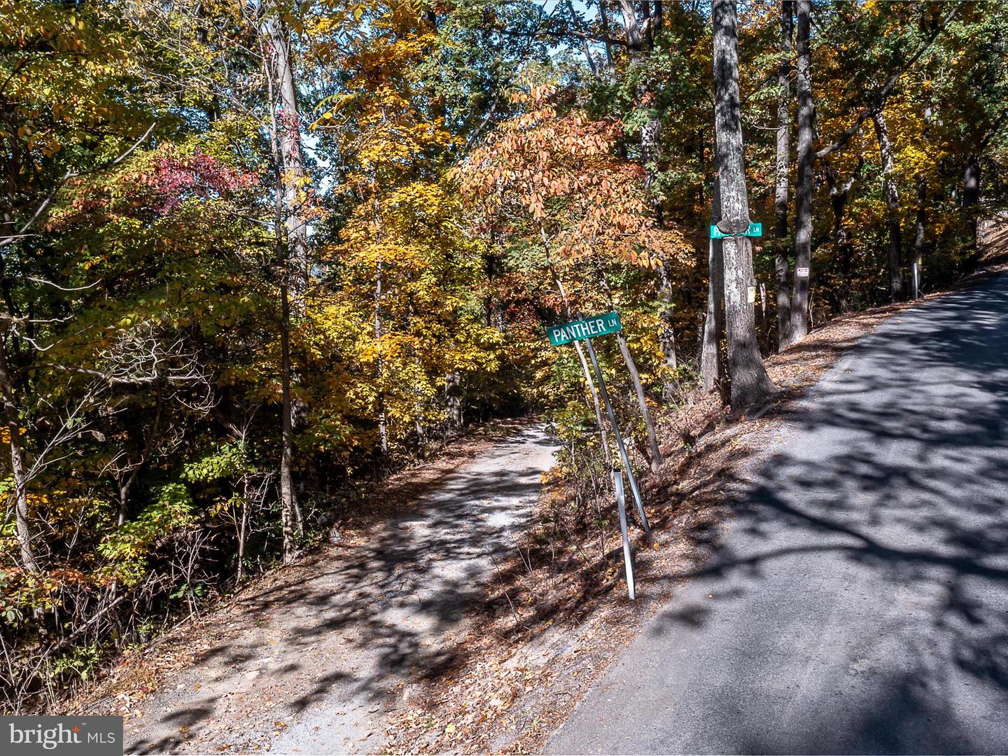 Tuscarora Pike Parcel 13 & 14 Property Photo 3