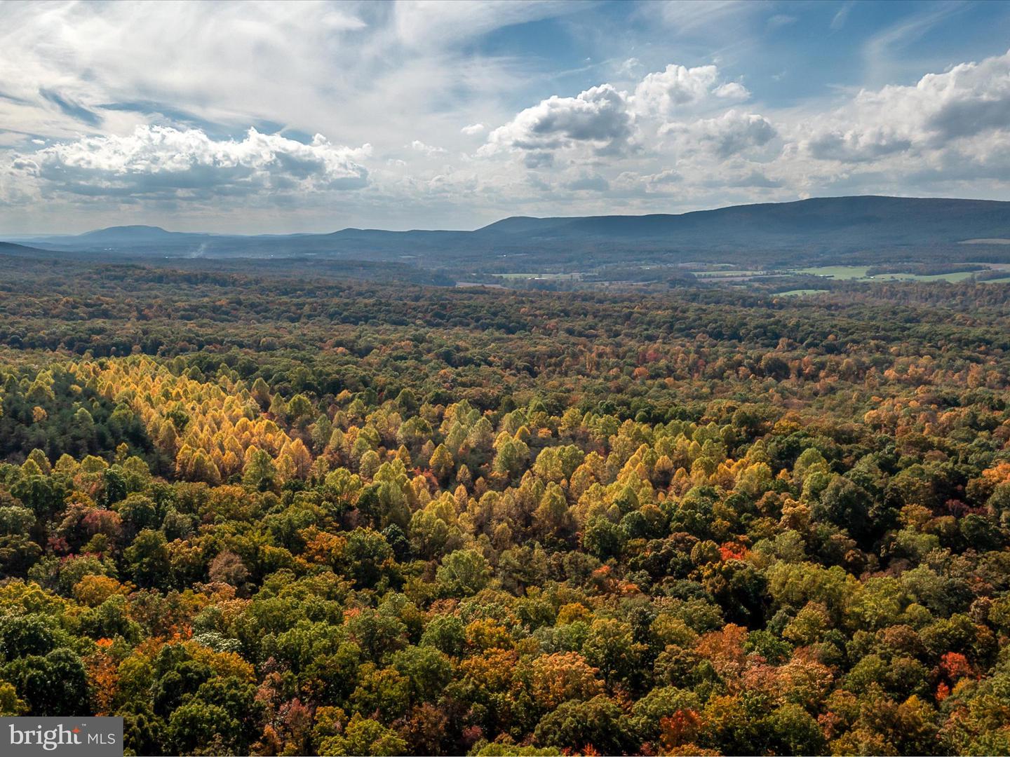 Tuscarora Pike Parcel 13 & 14 Property Photo 20