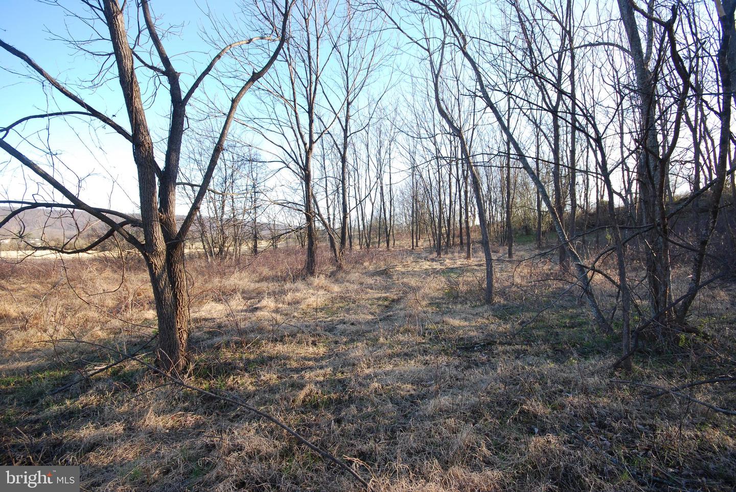 Dominion Rd Property Photo 11